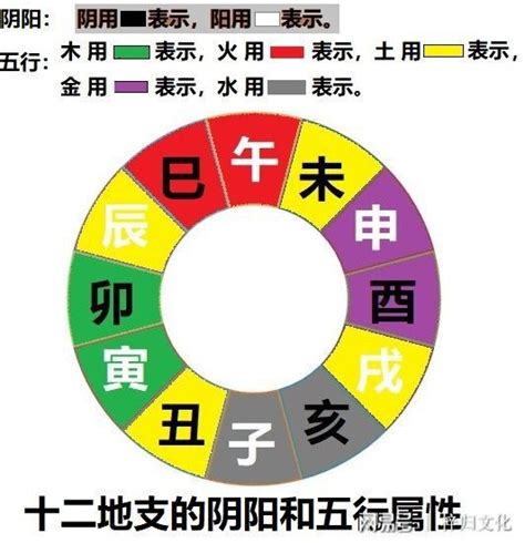 五行 辰|八字十二地支详解——辰